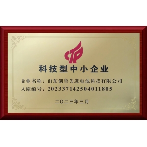 科技型中小企业